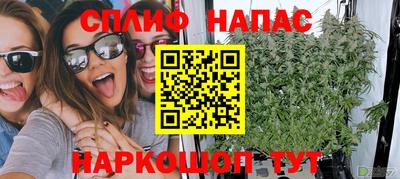 прущие грибы Кулебаки